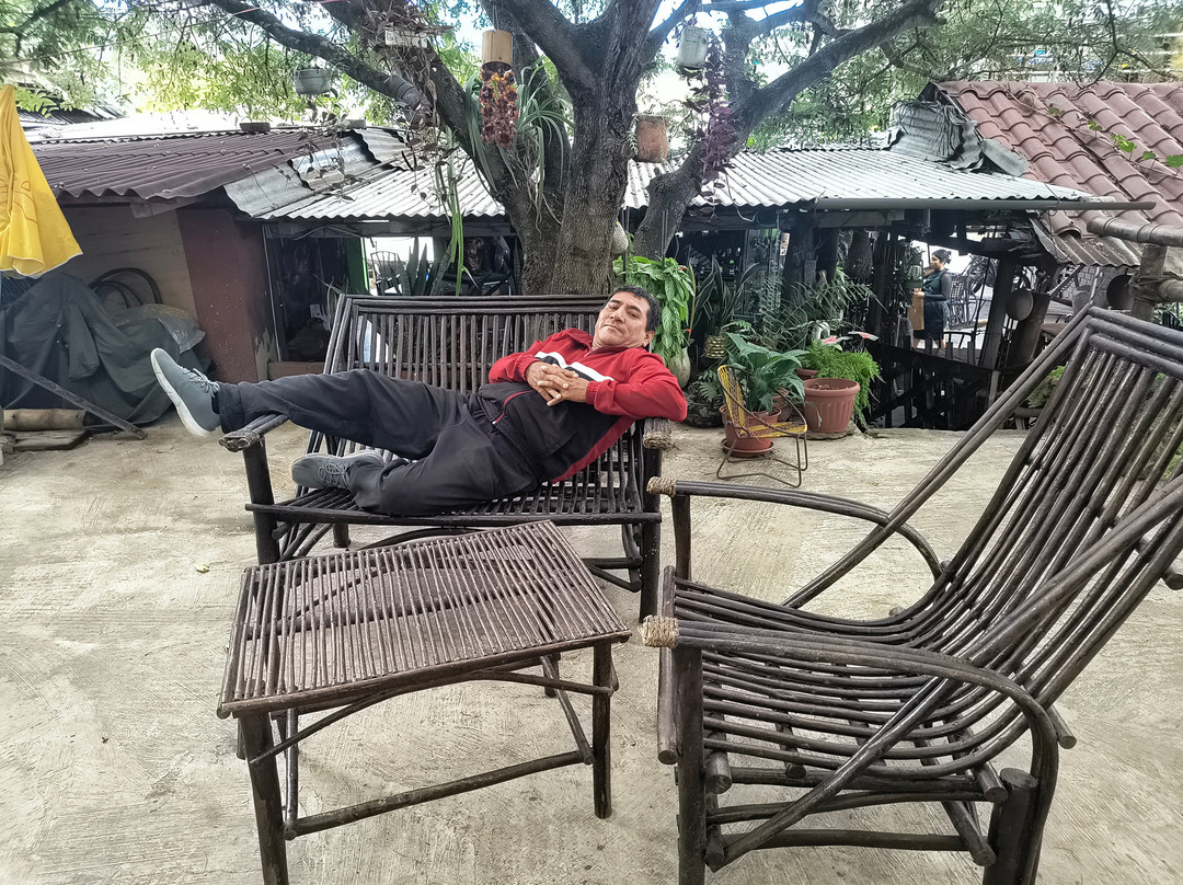 Restaurante Flor En Roca