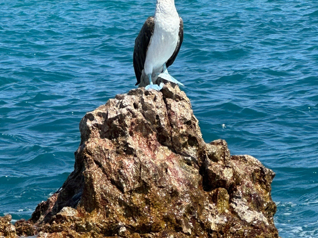 Punta Mita Experience-蓬塔米塔必去景点