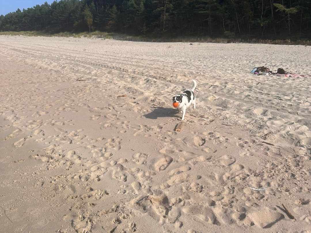 Rezerwat "Katy Rybackie"-Katy Rybackie必去景点