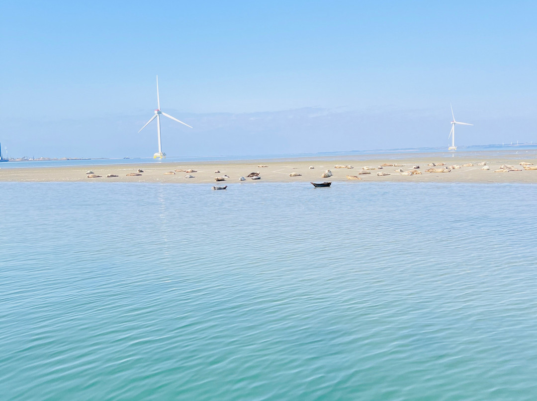 Westcoast Explore-Thyboron必去景点