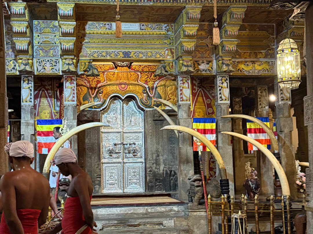 Slim Line Tours-Marawila必去景点