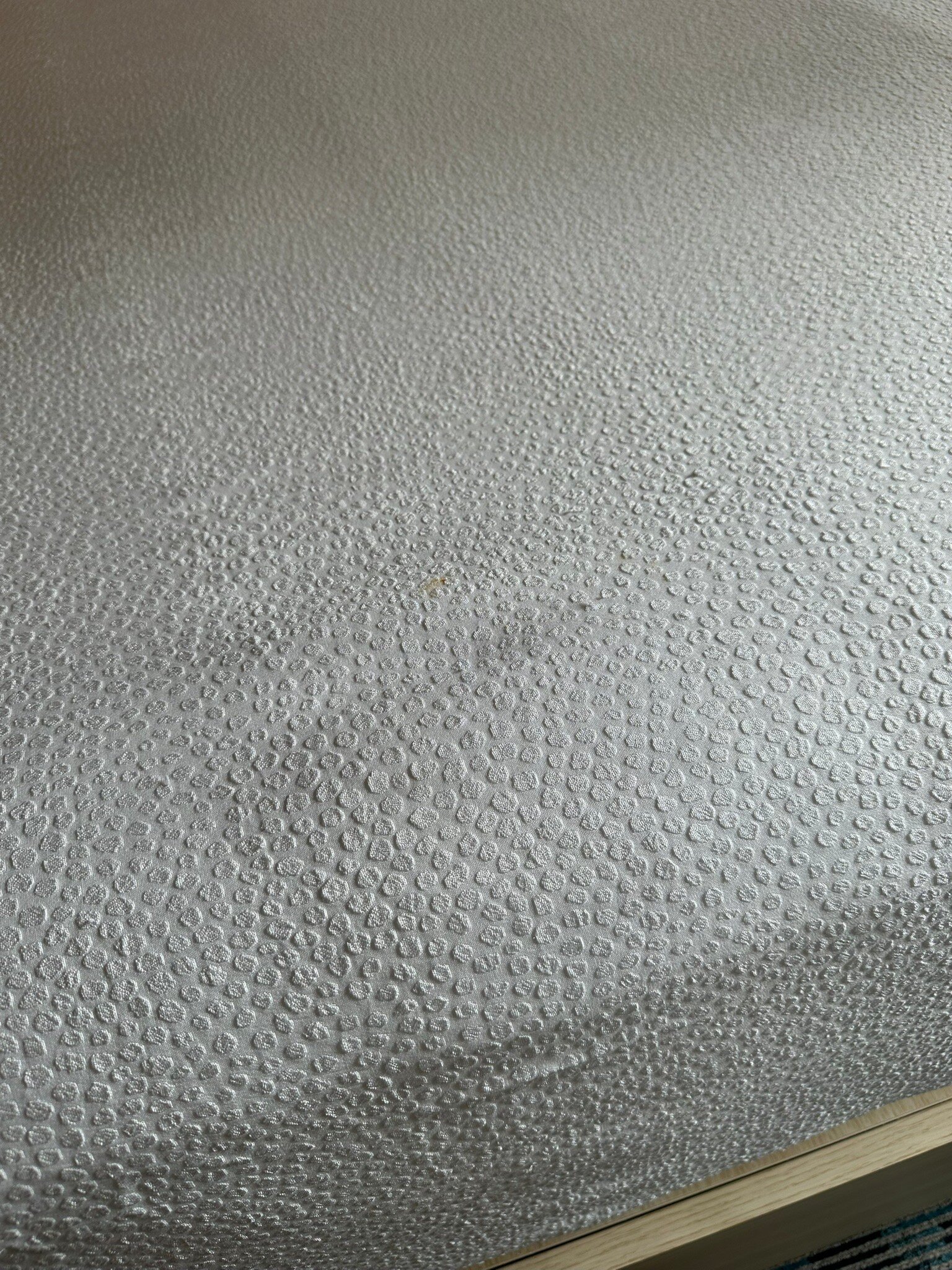 Hilton Garden Inn Dana Point Doheny Beach-官方