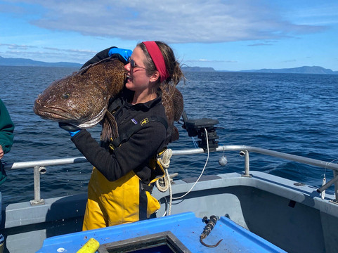 Kodiak Island Charters-Kodiak必去景点