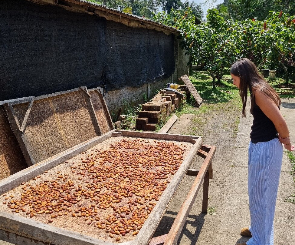 Cau Factory & Farm-达巴南必去景点