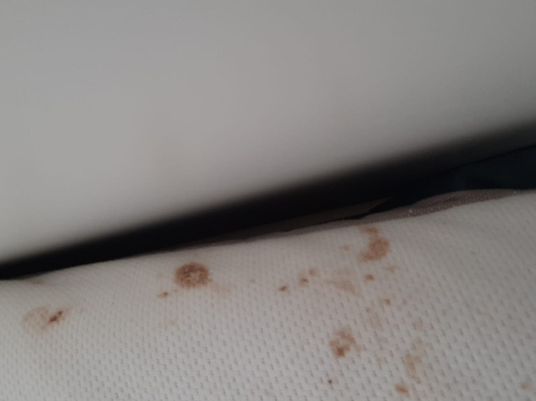 Club Teguisol Apartments主图