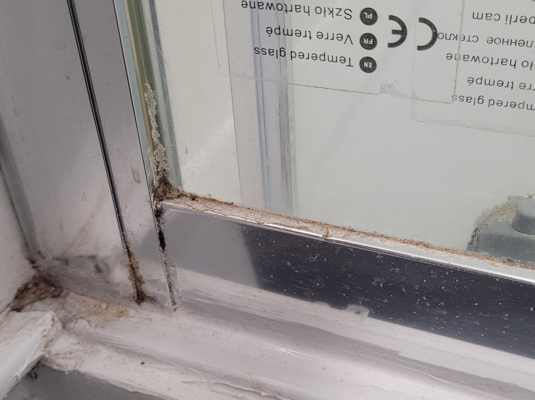 The Winston Guesthouse主图