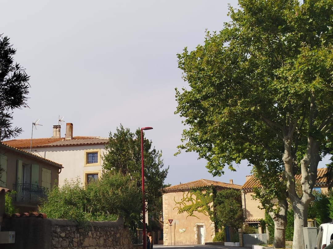 Etang Du Doul-Peyriac-de-Mer必去景点