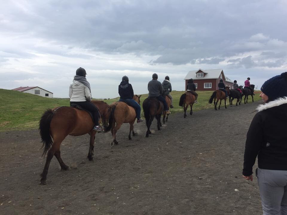Safari Horse Rental-米湖必去景点