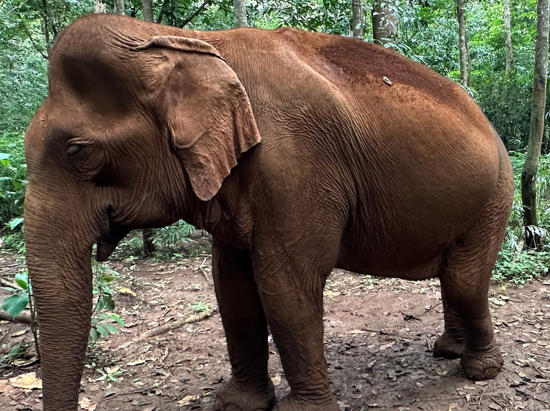Mondulkiri Project-森莫诺隆必去景点