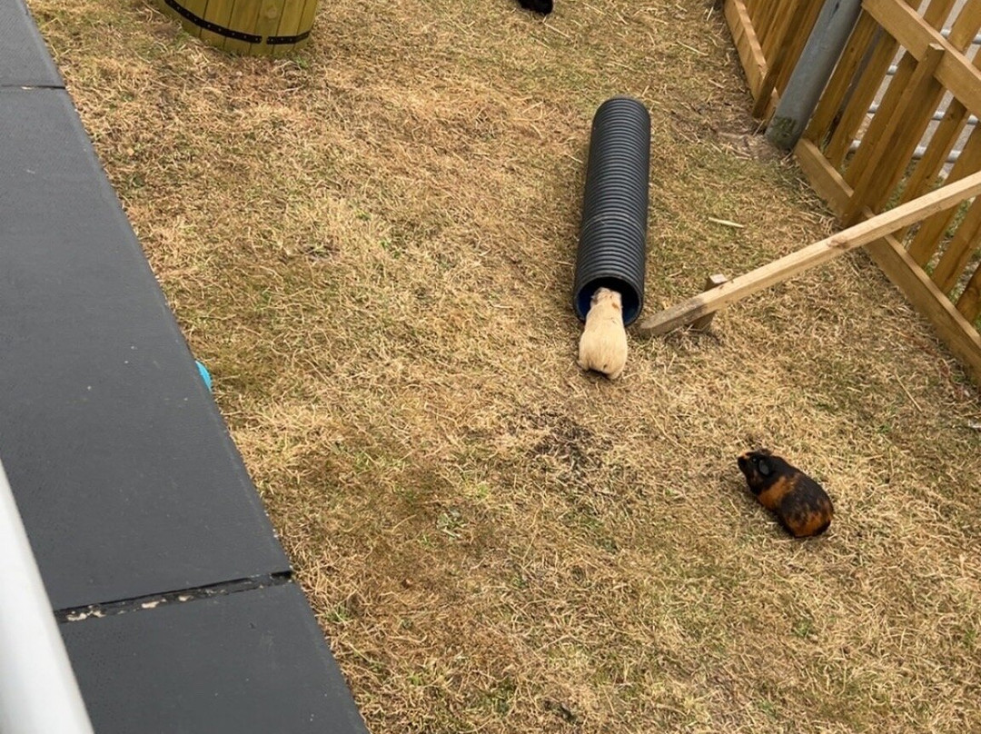 格雷夫公园-谢菲尔德必去景点