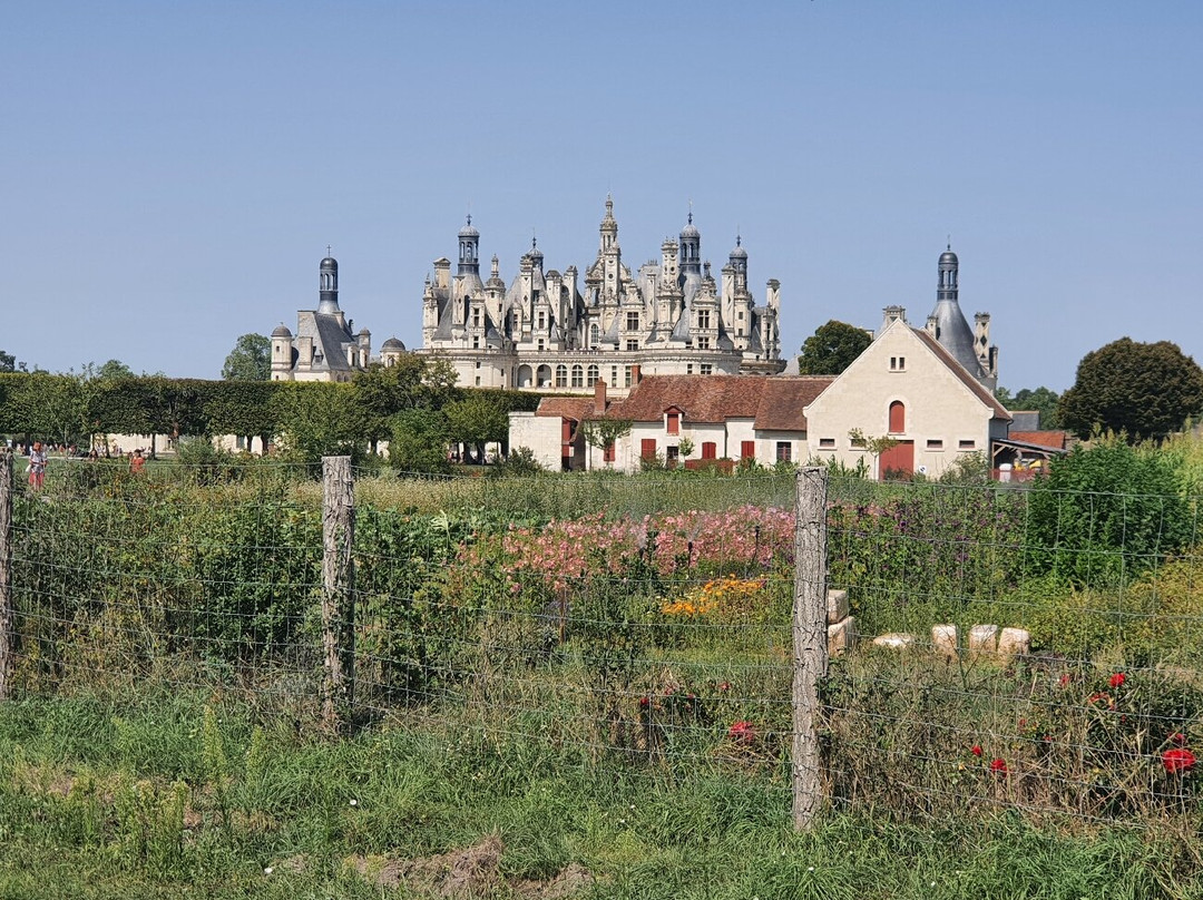 Domaine National de Chambord-香波堡必去景点