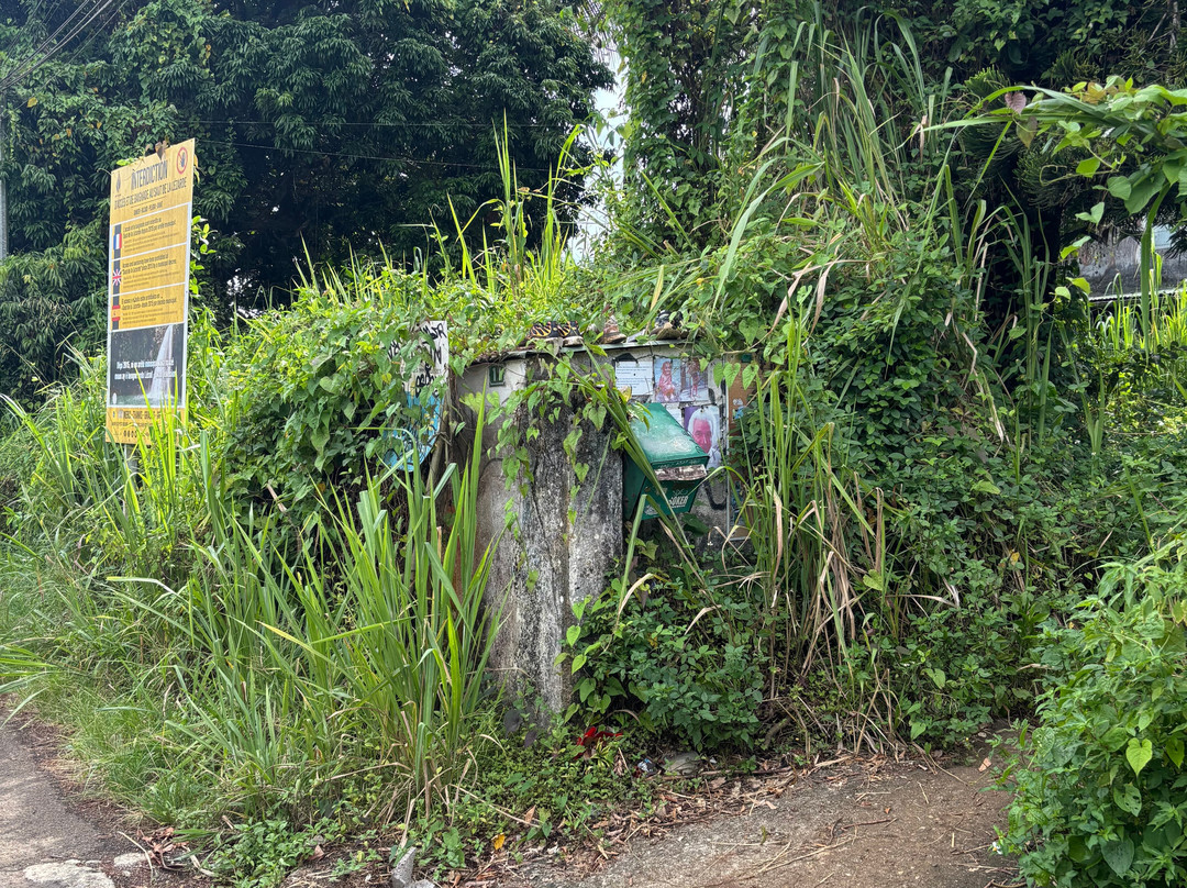 Saut de la Lézarde-Petit-Bourg必去景点