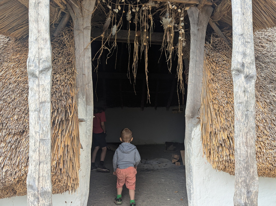 Butser Ancient Farm-Chalton必去景点