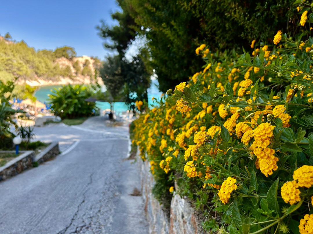 Lemonakia Beach-Kokkari必去景点