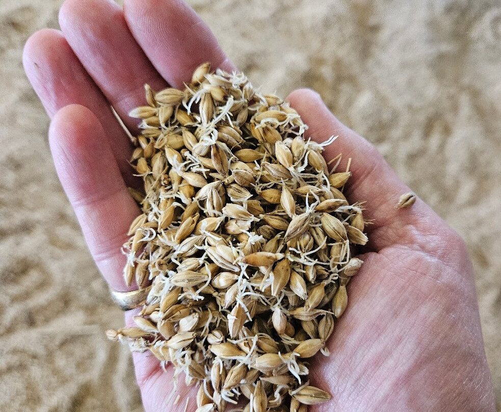 Kilchoman Distillery-Bruichladdich必去景点