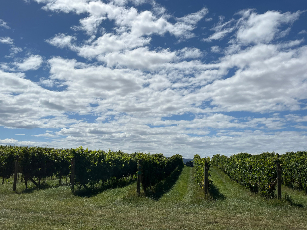 Spring Vale Wines-Cranbrook必去景点