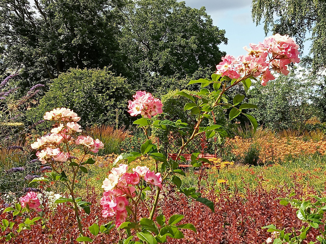 Kreislehrgarten-Steinfurt必去景点