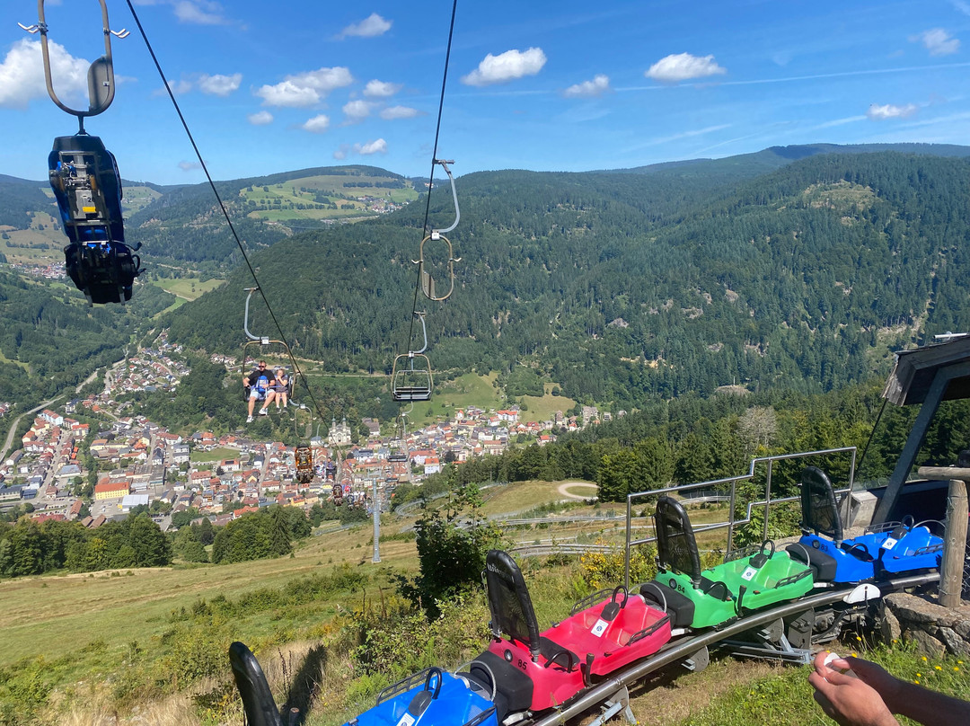 Hasenhorn Coaster Todtnau-托特瑙必去景点
