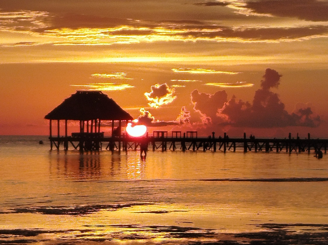 Isla Holbox-Holbox Island必去景点