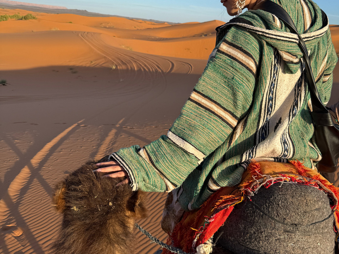 The Moroccan Guide-卡萨布兰卡必去景点