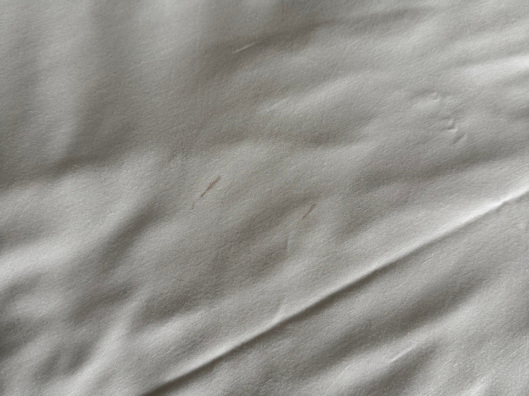 Premier Inn Oxford Kidlington (Airport) hotel主图