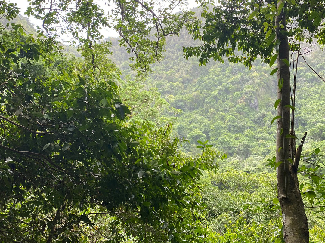 Quill National Park-圣尤斯泰希厄斯岛必去景点