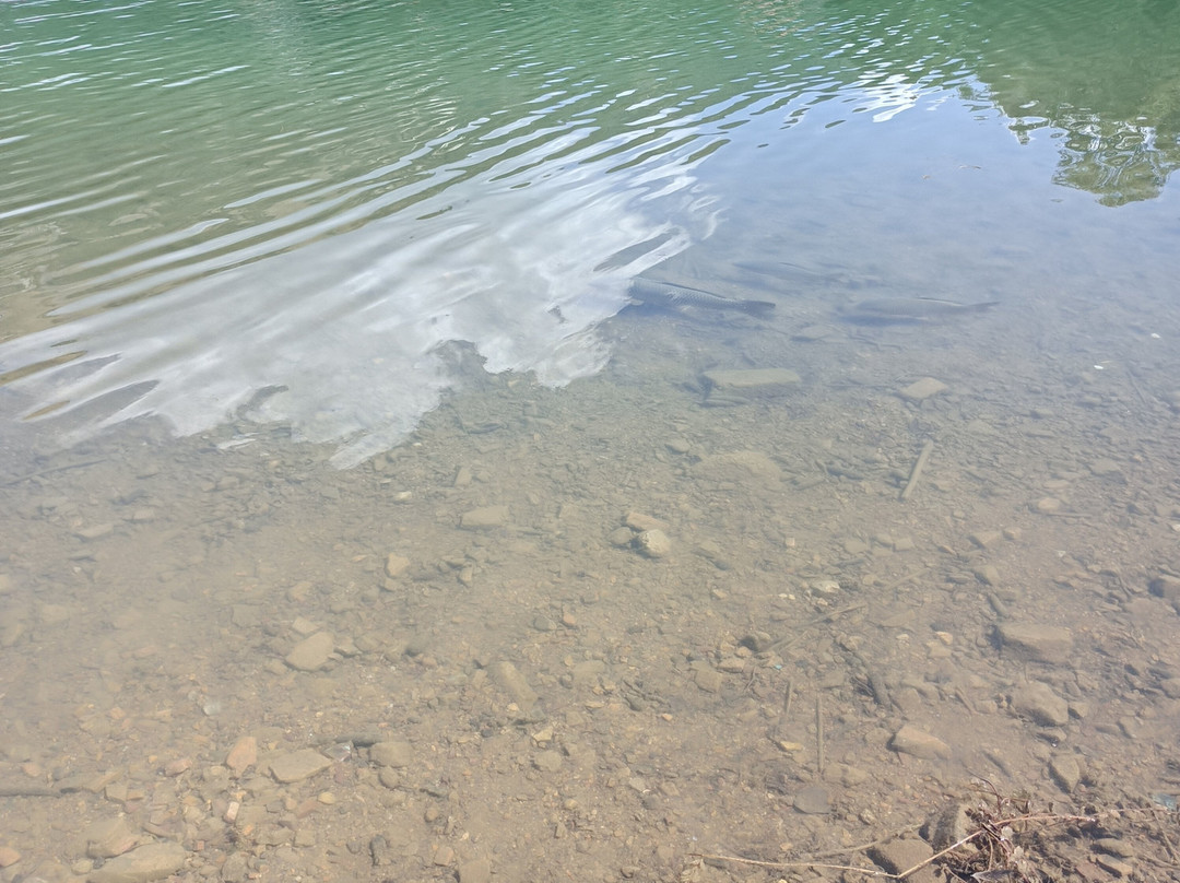 Lago Sirino-Nemoli必去景点