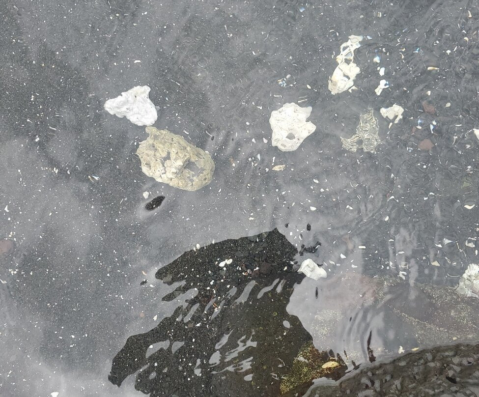 理查德森海滩公园-希洛必去景点