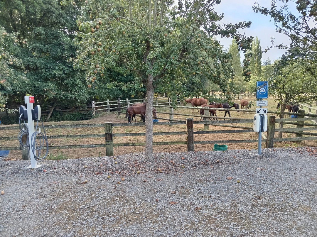 拉图尔葡萄园酒店主图