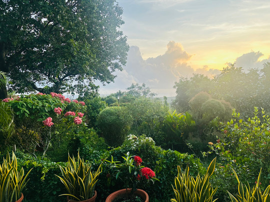 Sivasoorya Ayurveda Healing Ashram