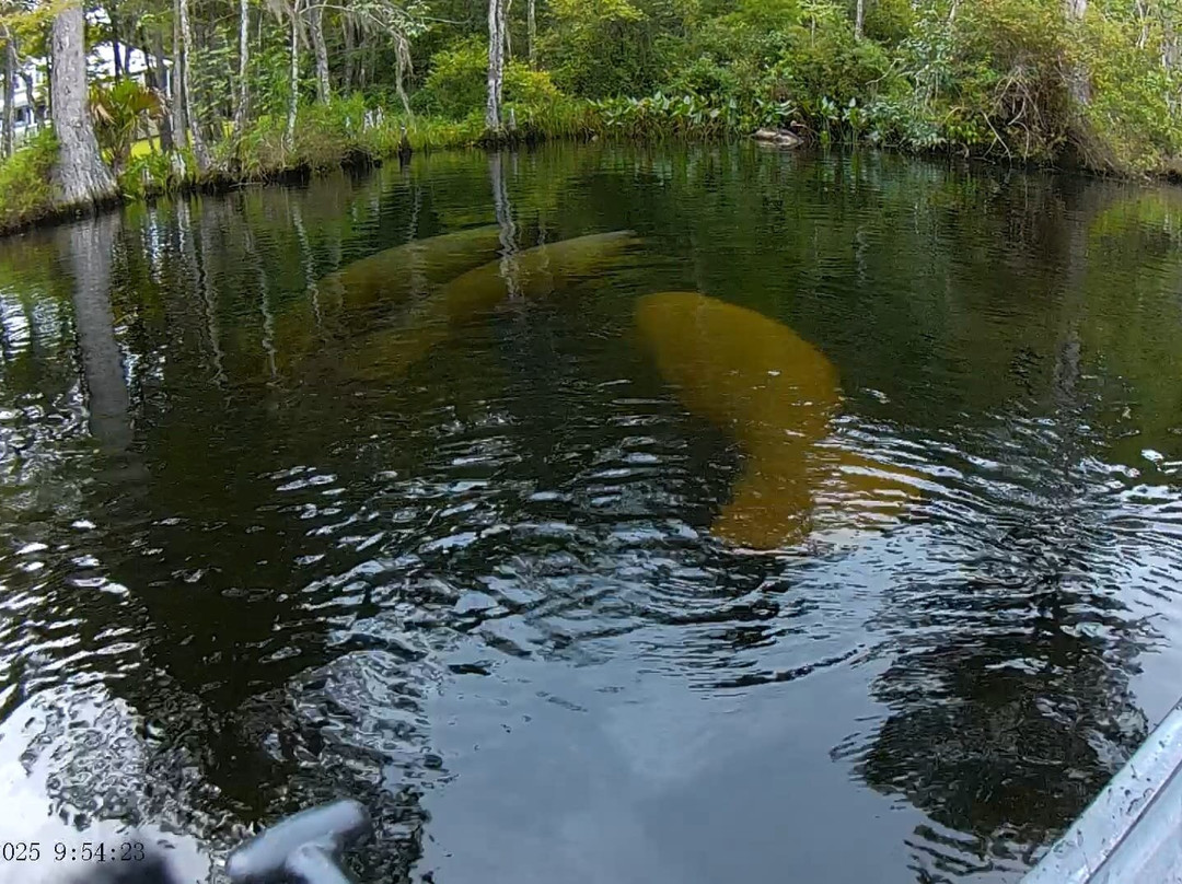 TNT Hideaway Day Tours-Crawfordville必去景点