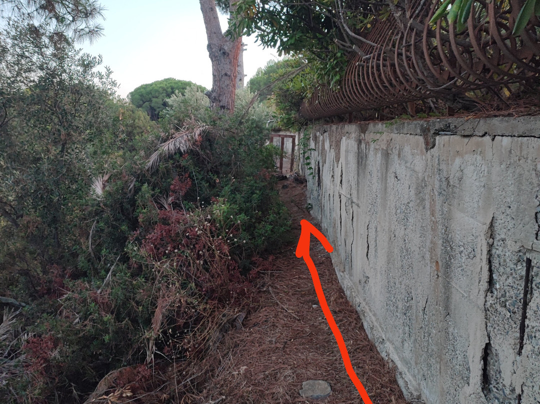 Baia del Buon Dormire-Faracchio必去景点