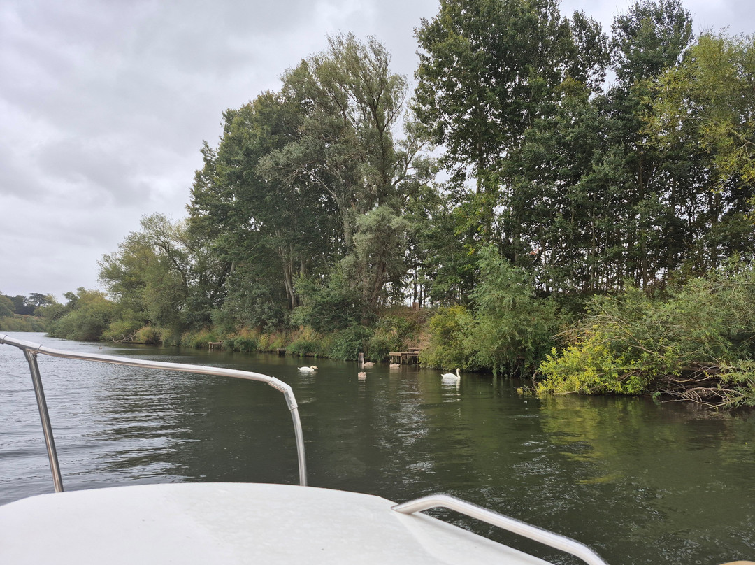 Severn Expeditions Day Boat Hire-Upton upon Severn必去景点