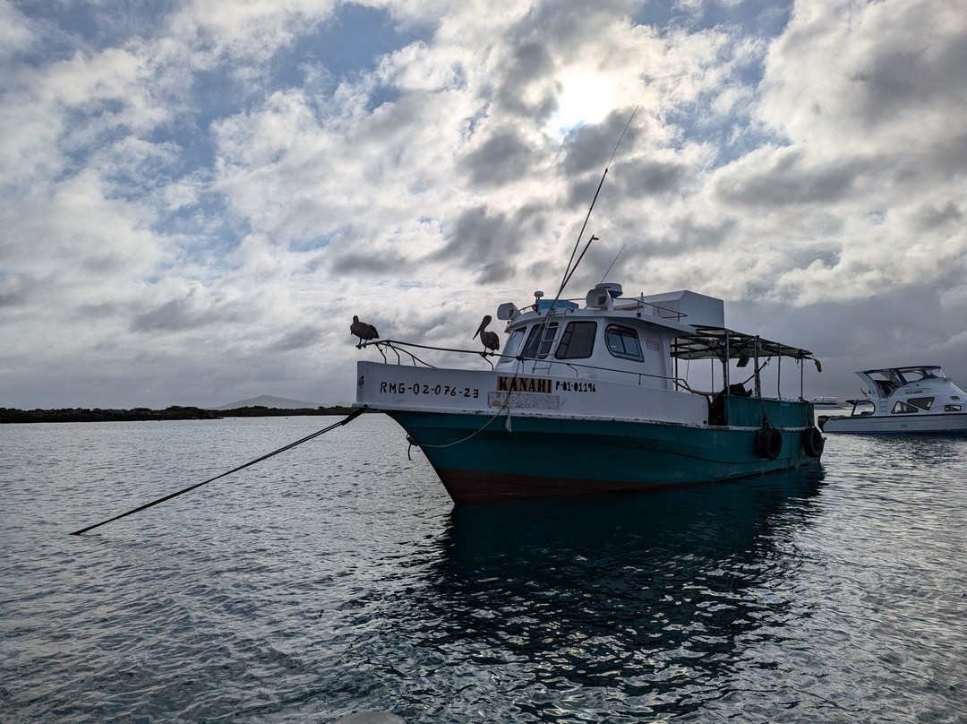Las Tintoreras-维里亚米尔港必去景点