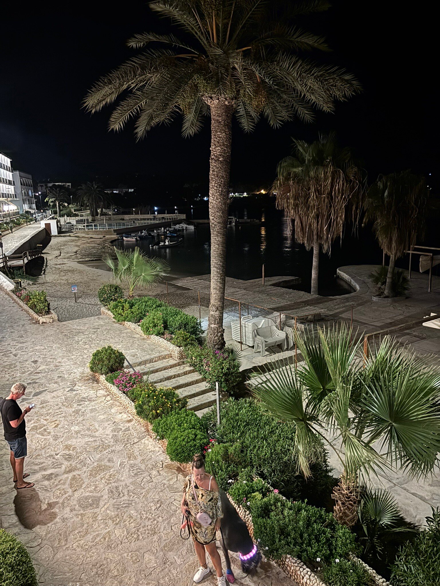 瑟斯菲格雷斯酒店-官方