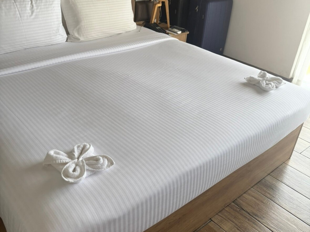 Belmont Boutique Hotel主图