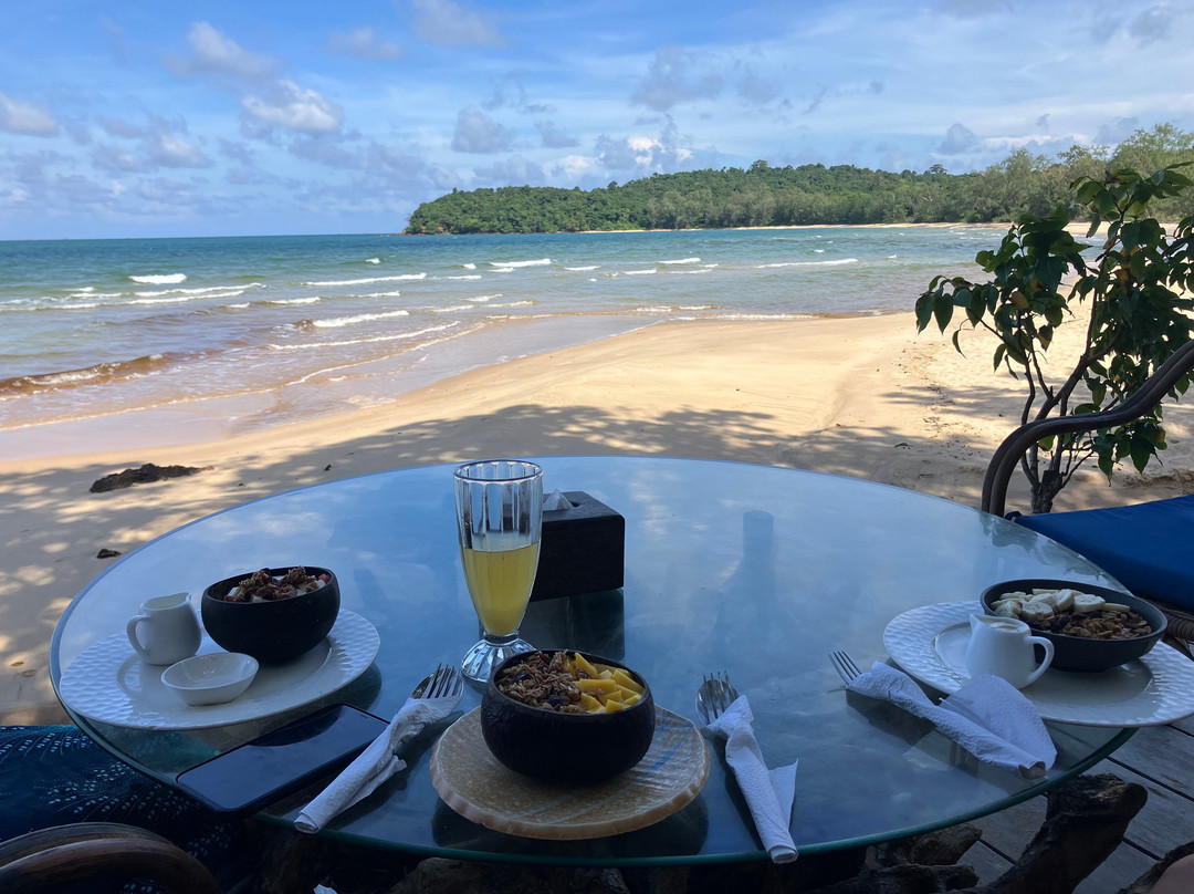 Kactus - The Hidden Treehouse主图