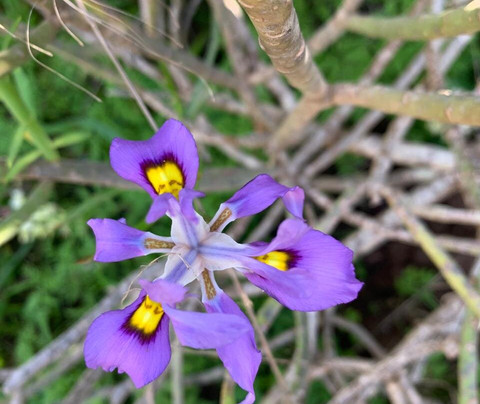 This is Cape Town-开普敦中心区必去景点