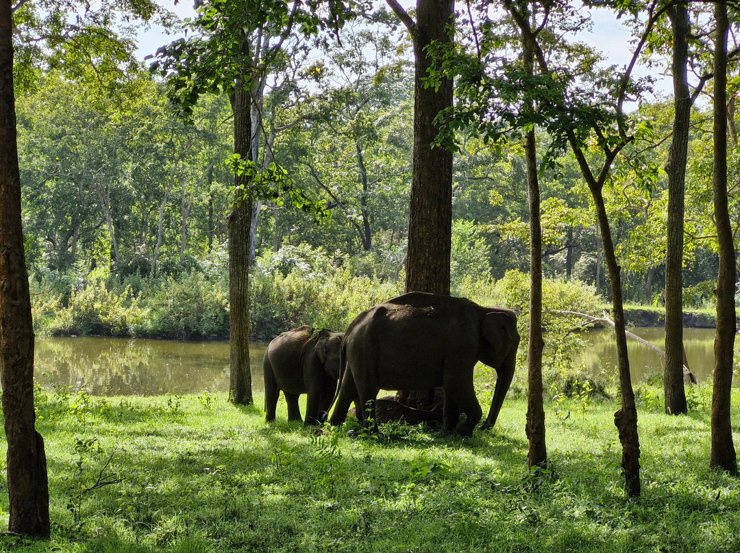 Kabini Wildlife Safari - Day Tour-纳加尔霍雷国家公园必去景点