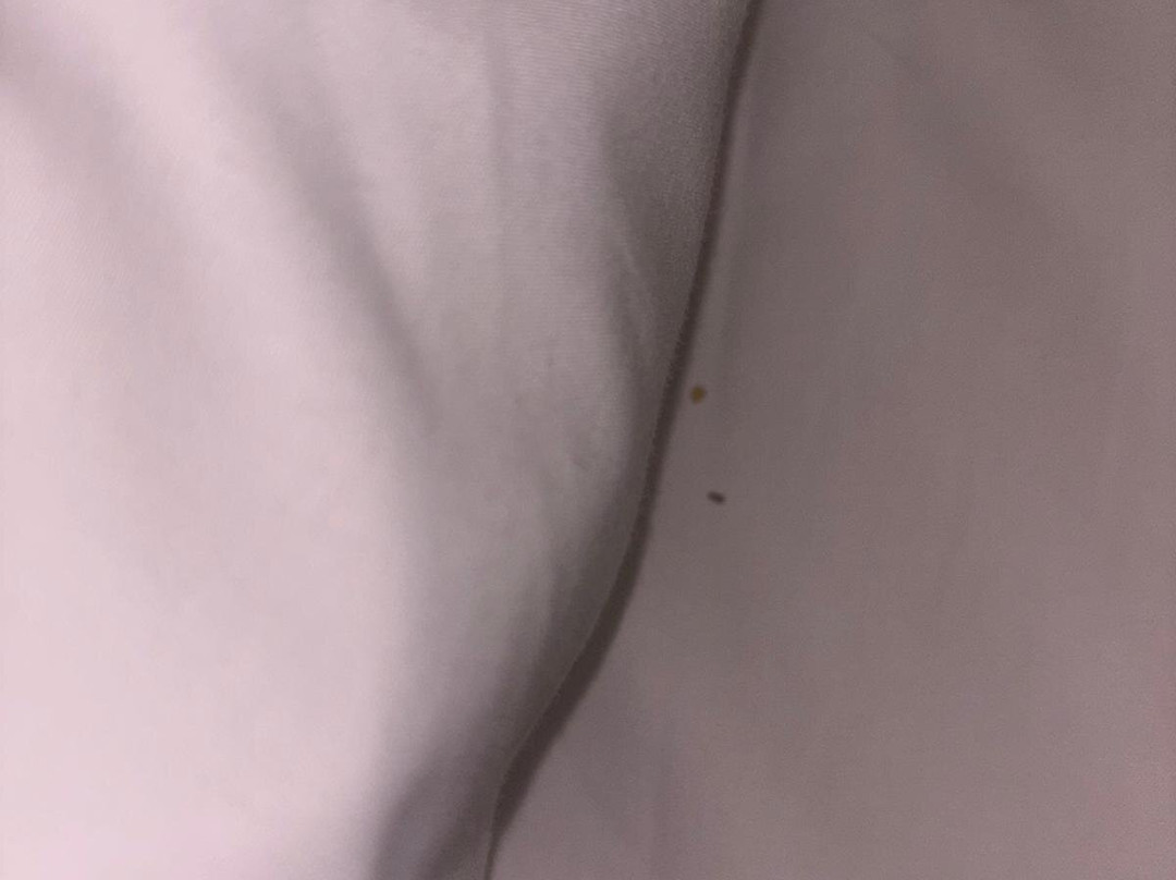 Travelodge London Stratford主图