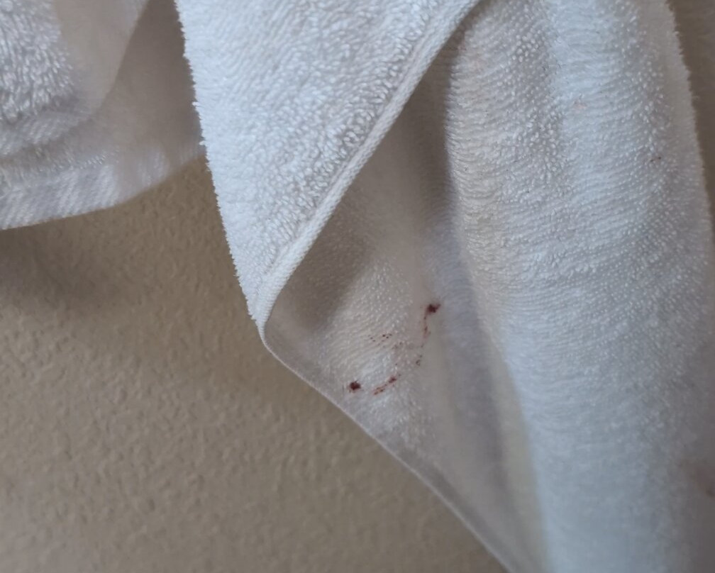 Red Roof PLUS+ Washington, D.C. - Alexandria主图