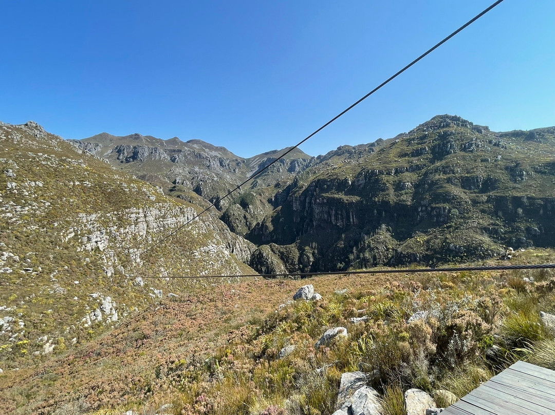 Cape Canopy Tour-Elgin必去景点
