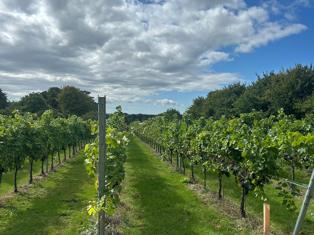 Bluestone Vineyards-索尔兹伯里必去景点