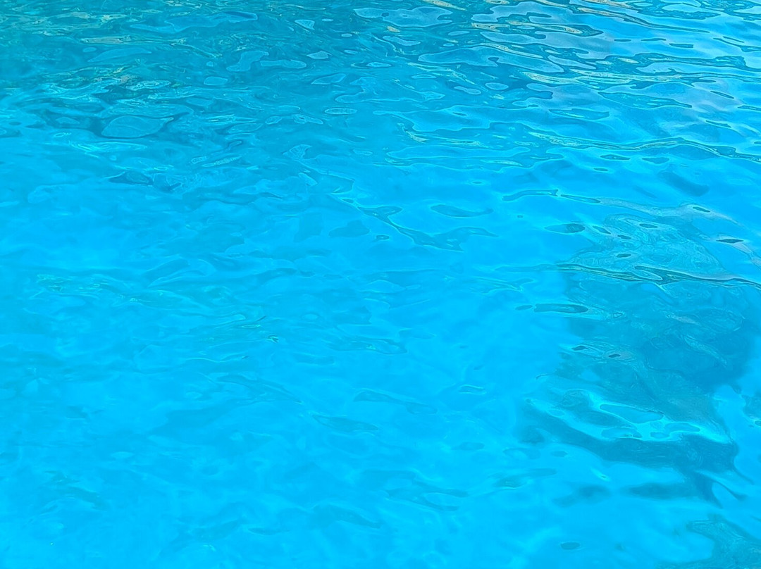 Nuovo Consorzio Trasporti Marittimi Cala Gonone-Cala Gonone必去景点