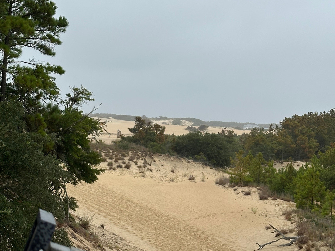 Jockey's Ridge State Park-纳格斯海德必去景点