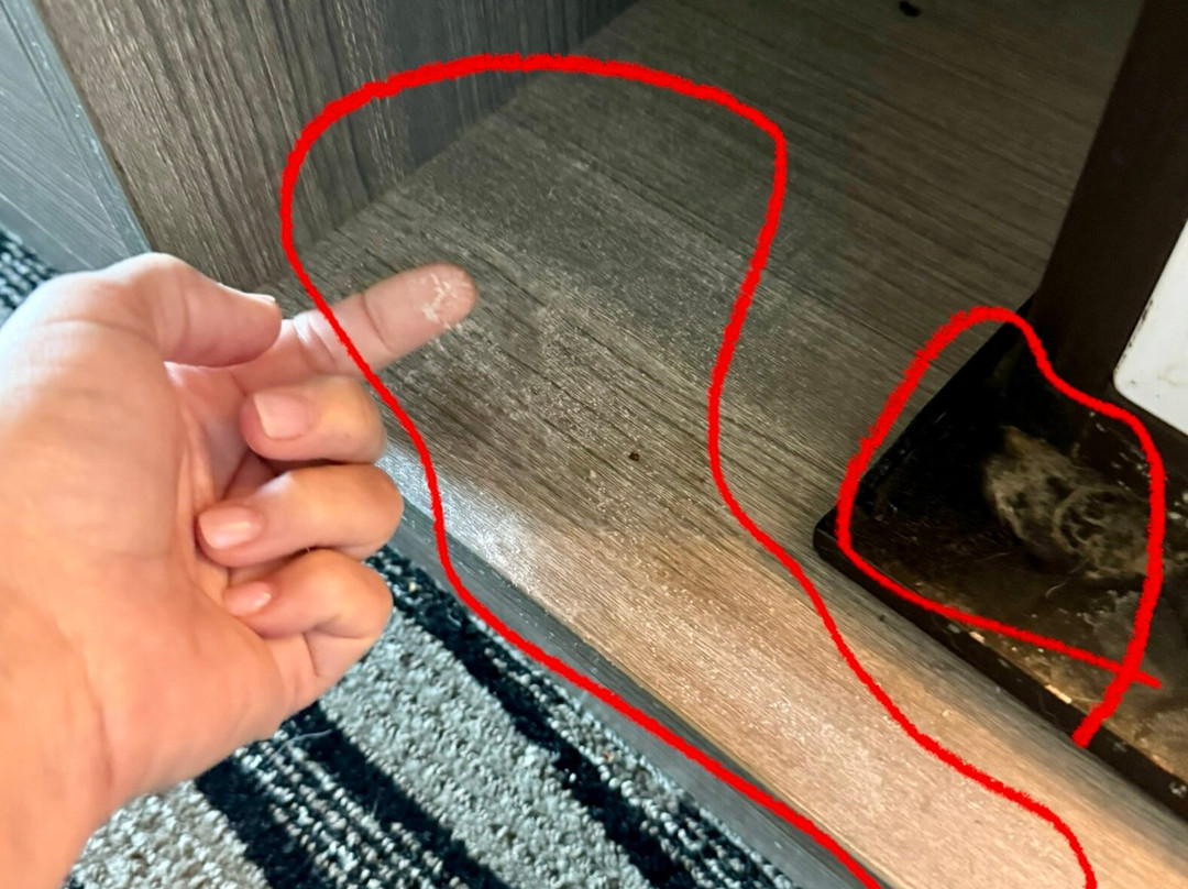 La Quinta Inn & Suites by Wyndham Tupelo主图