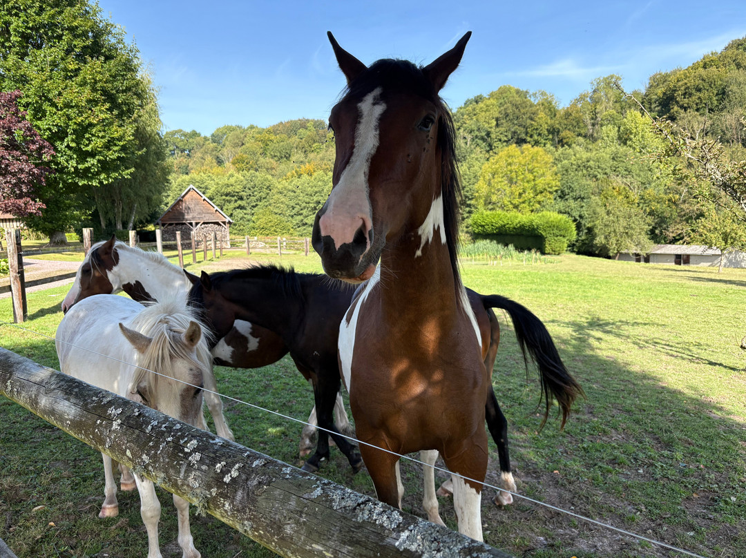 Le Grand Clos de Saint Martin主图