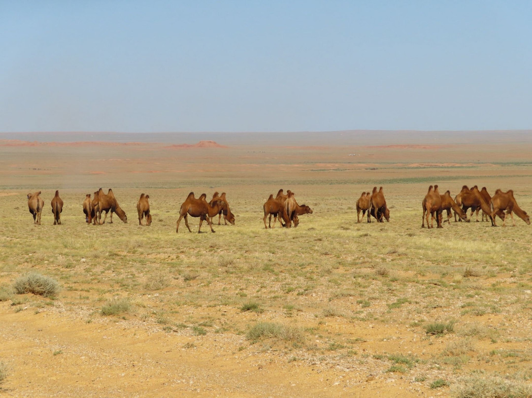 Travel Buddies-乌兰巴托必去景点