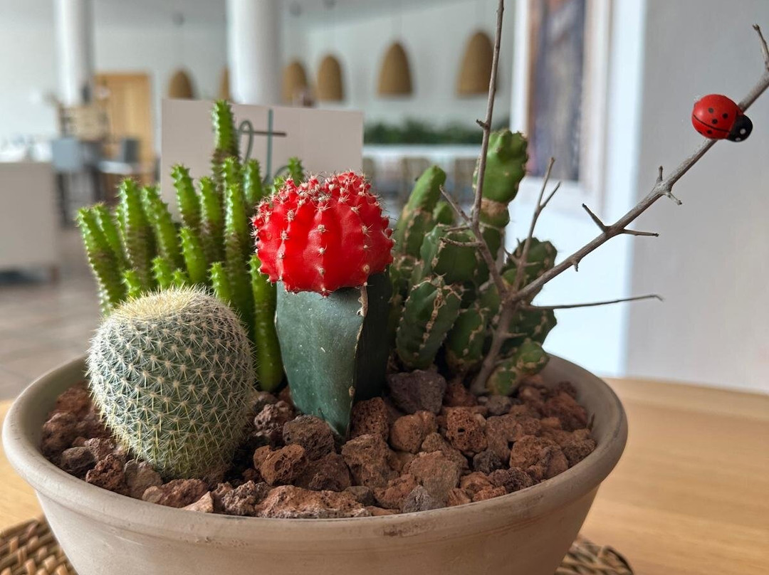 Hotel El Tio Kiko主图