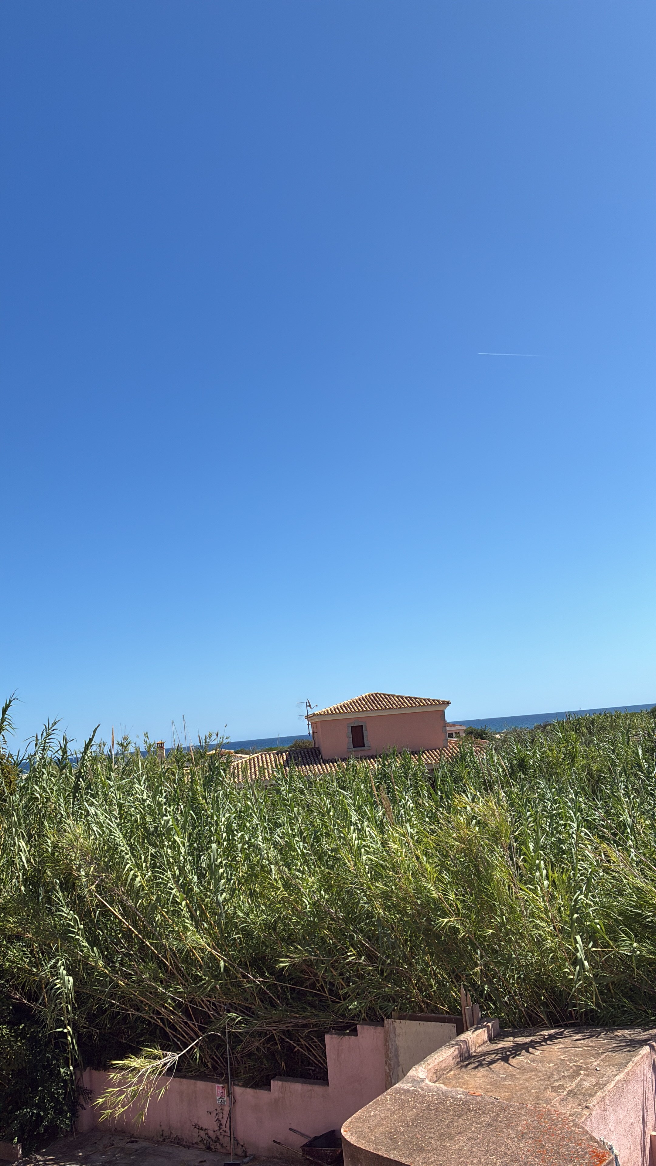 新缇拉酒店-官方